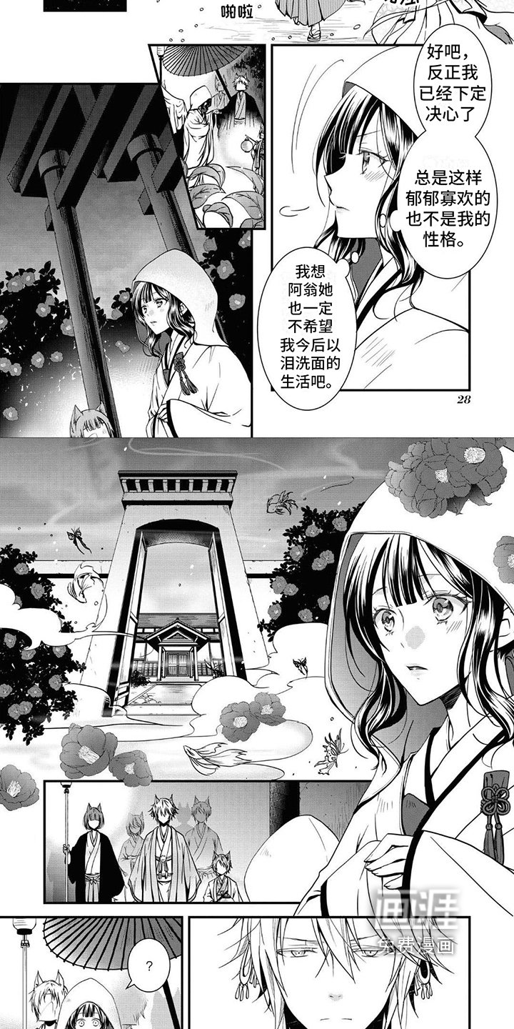 第4章：特殊情况