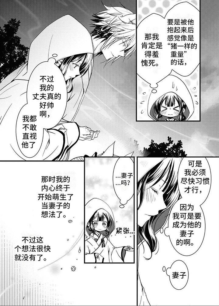 第4章：特殊情况