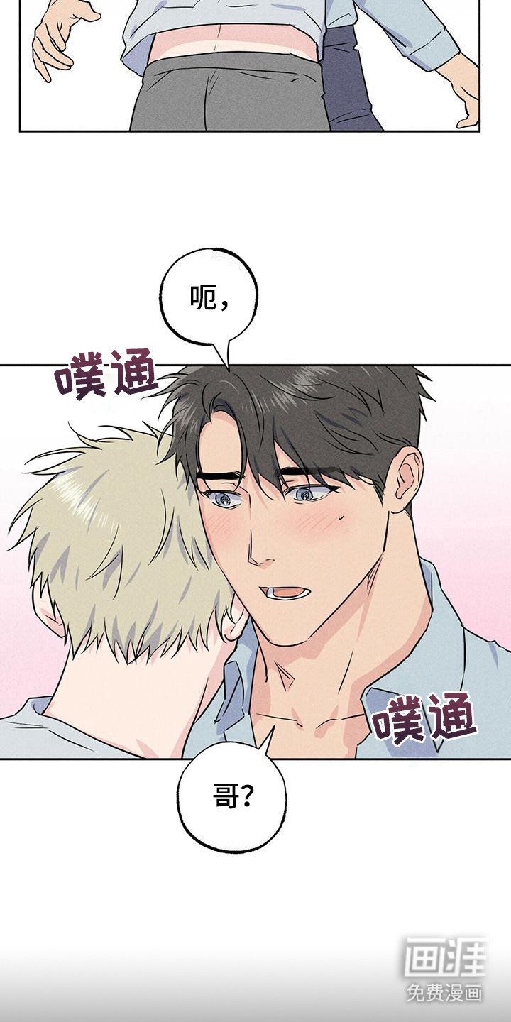 第7章：迎合