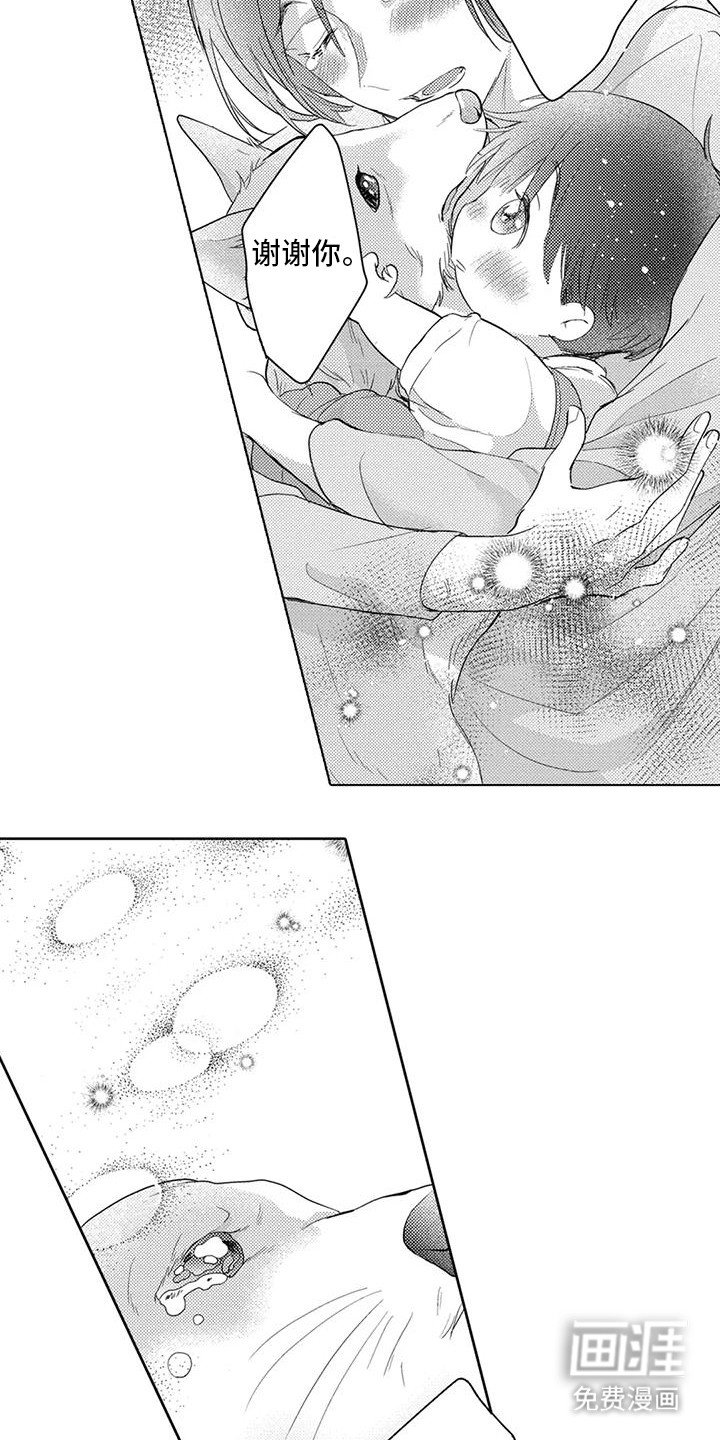 第10章：和好