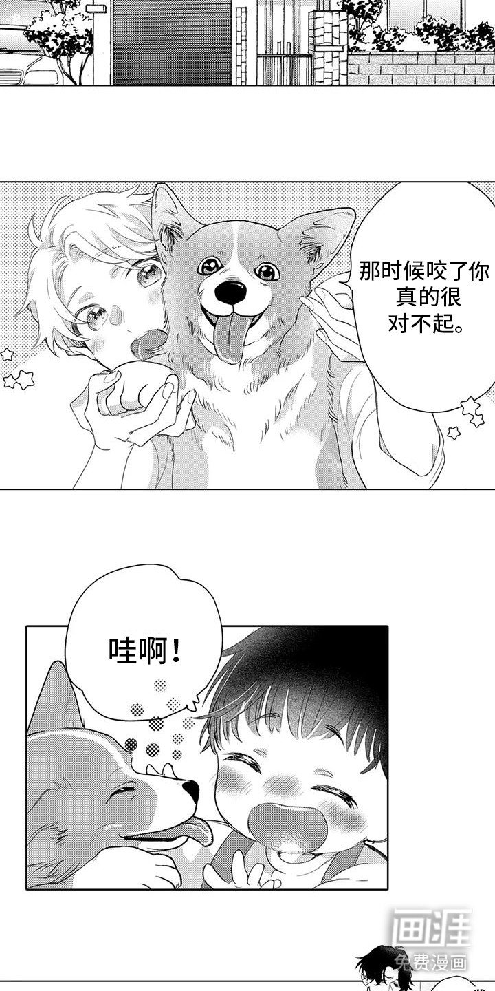 第10章：和好