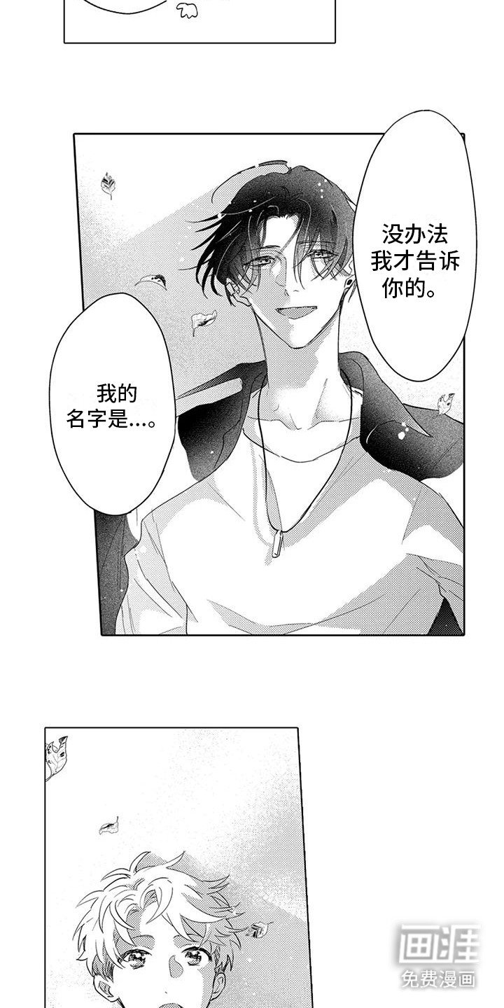 第11章：另眼相待