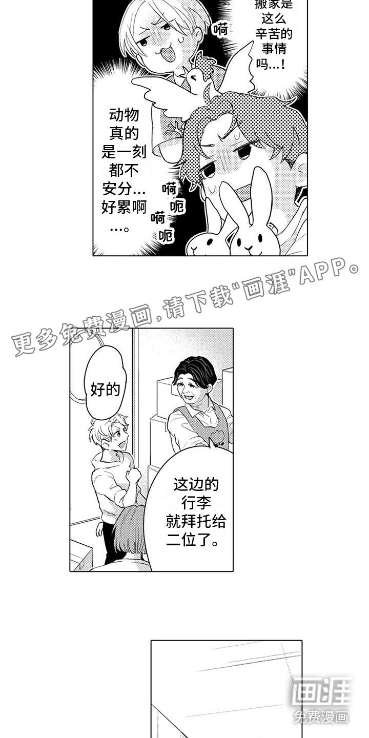 第14章：价值观