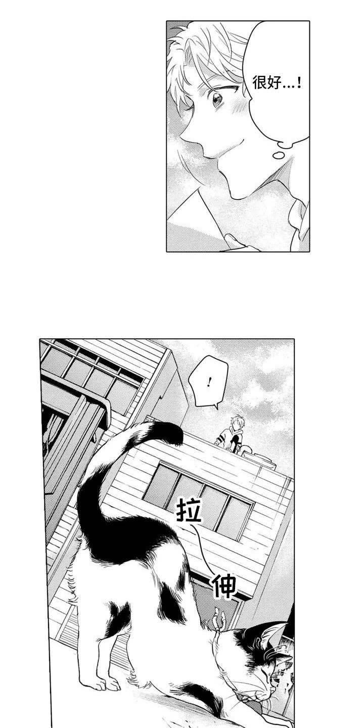 第2章： 寻找猫咪
