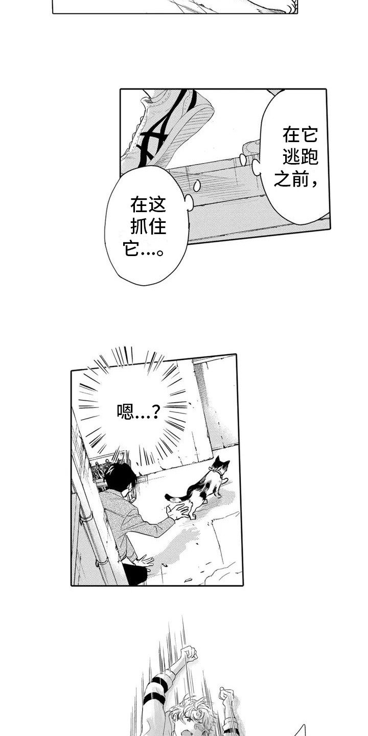 第2章： 寻找猫咪