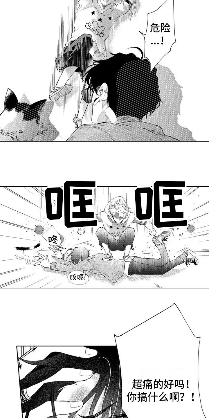 第2章： 寻找猫咪