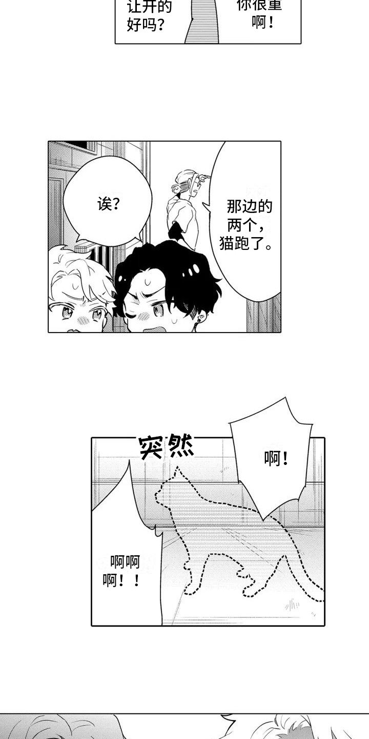 第2章： 寻找猫咪