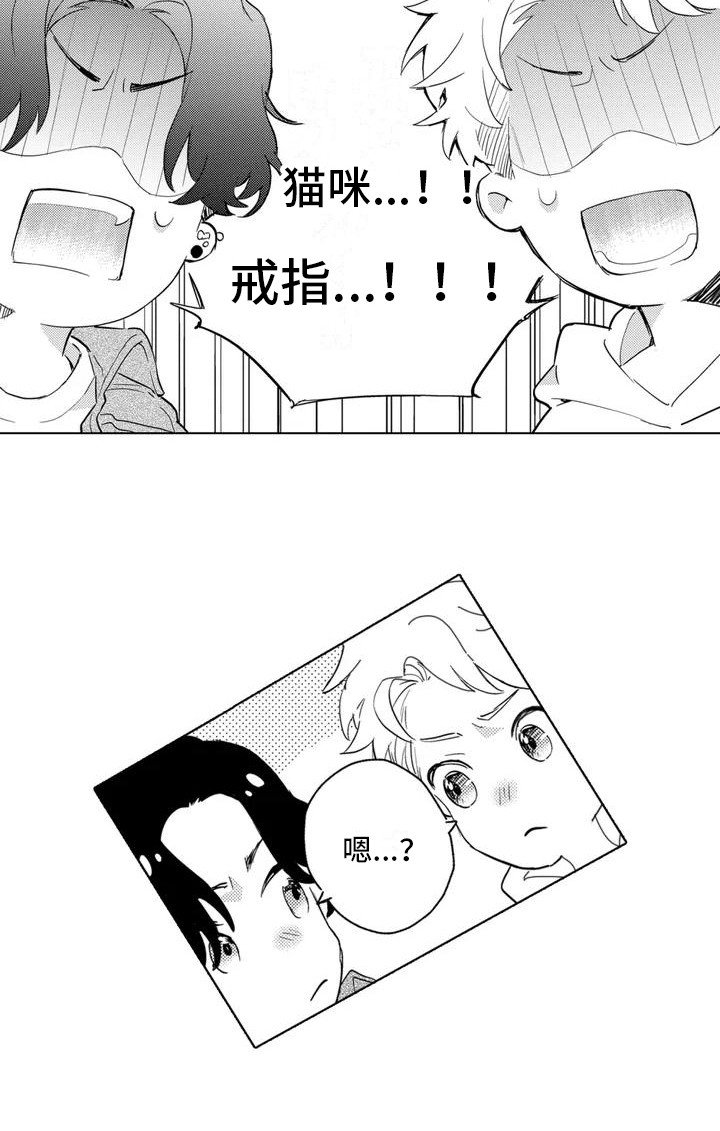 第2章： 寻找猫咪