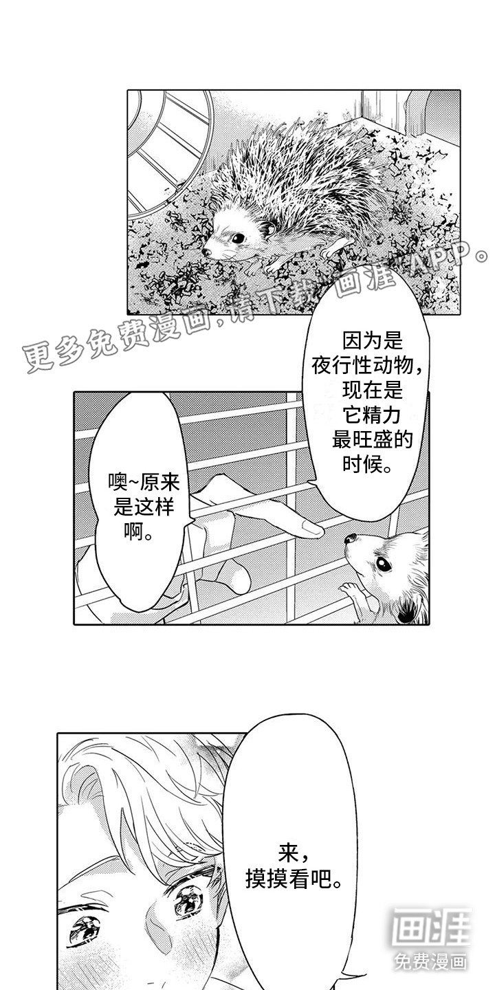 第25章：回忆