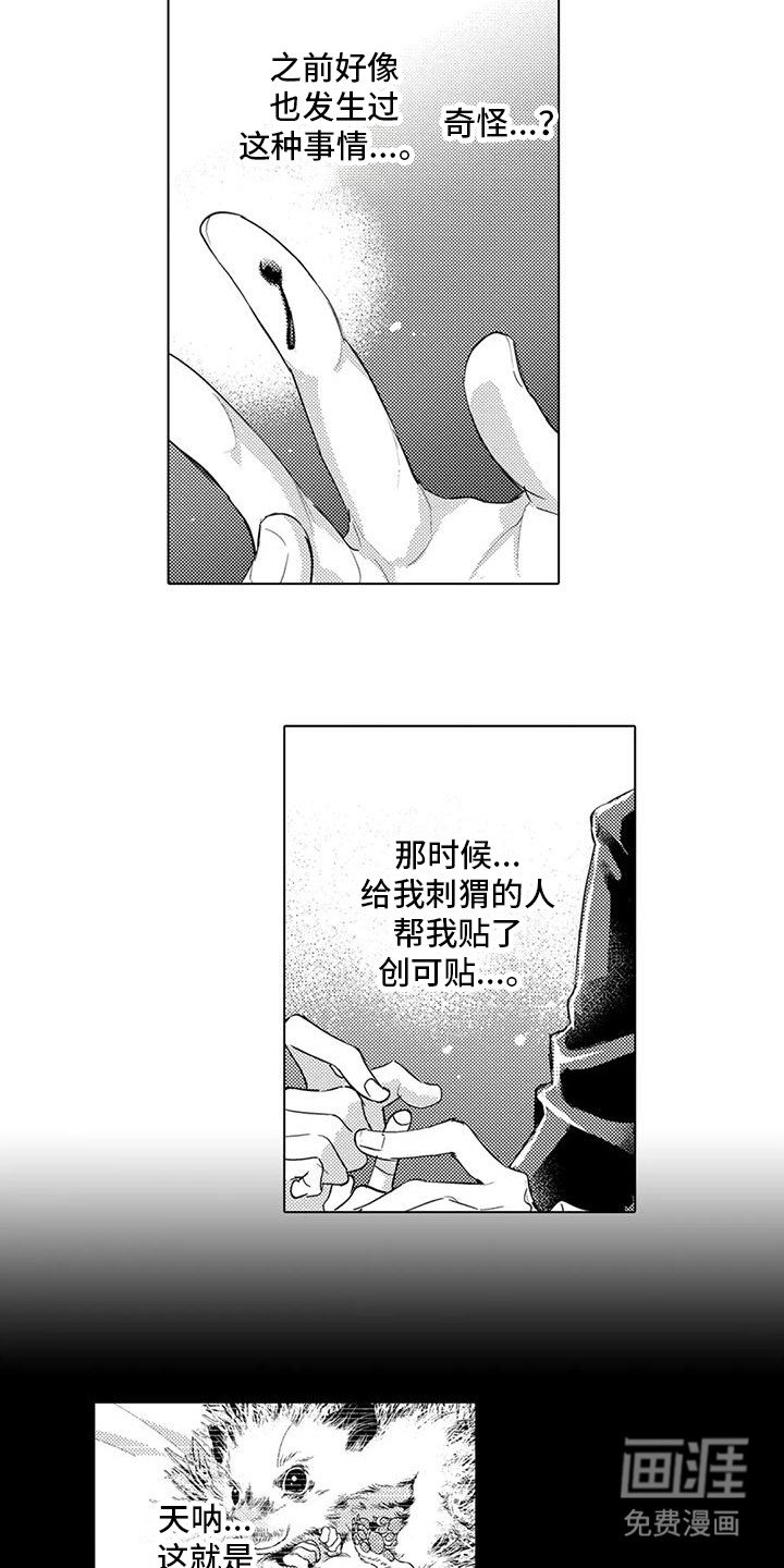 第25章：回忆