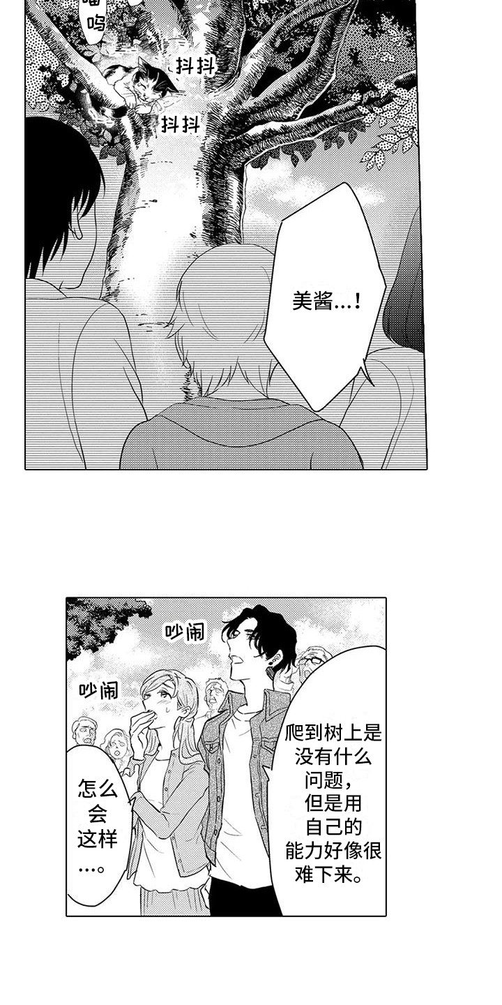 第3章：爬上树