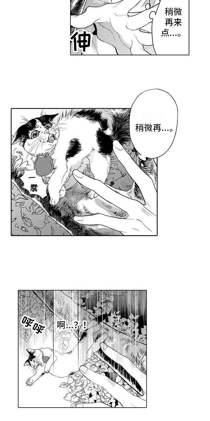 第3章：爬上树