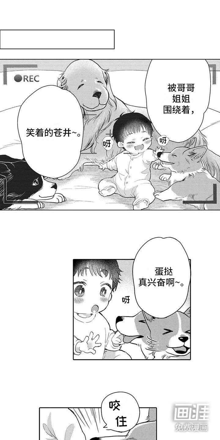 第7章：遛狗