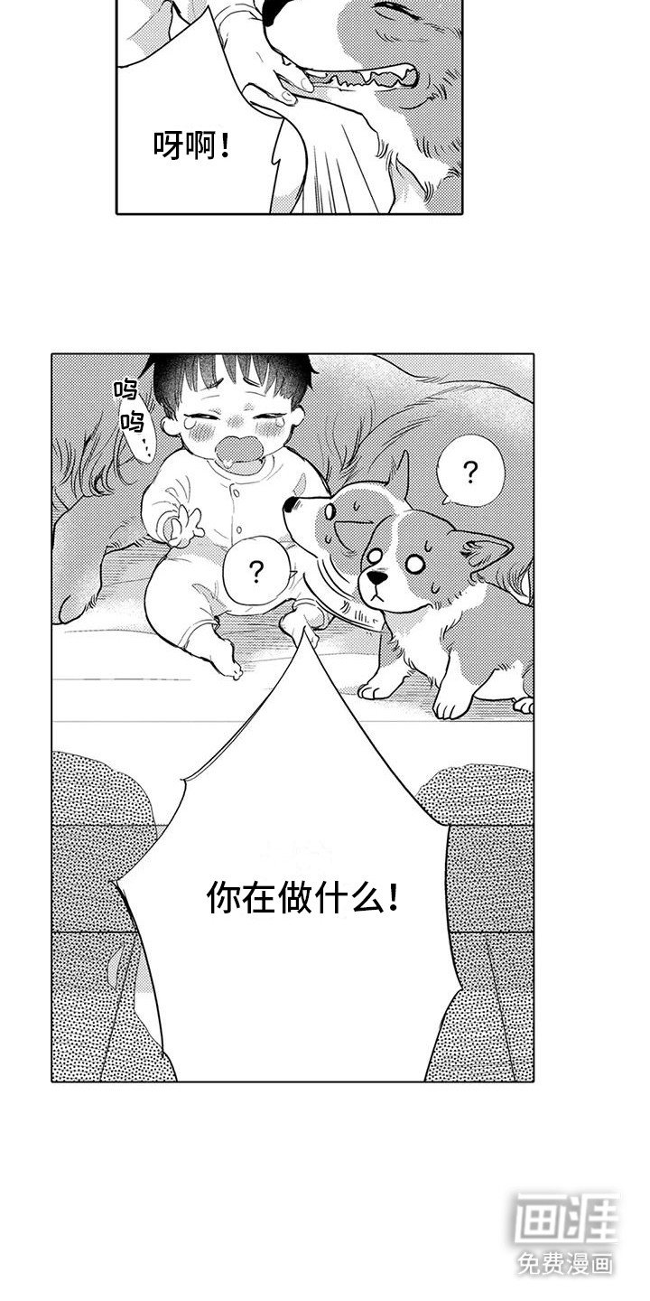 第7章：遛狗