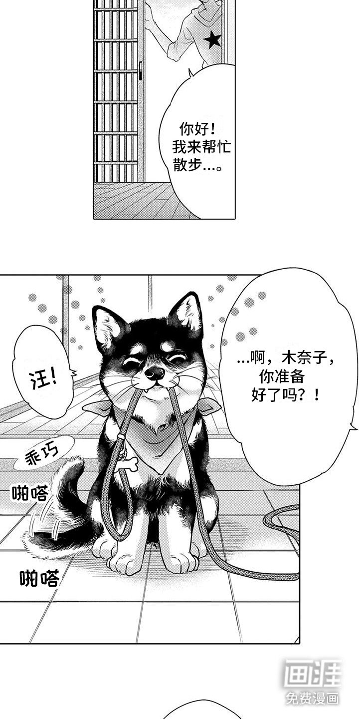 第7章：遛狗