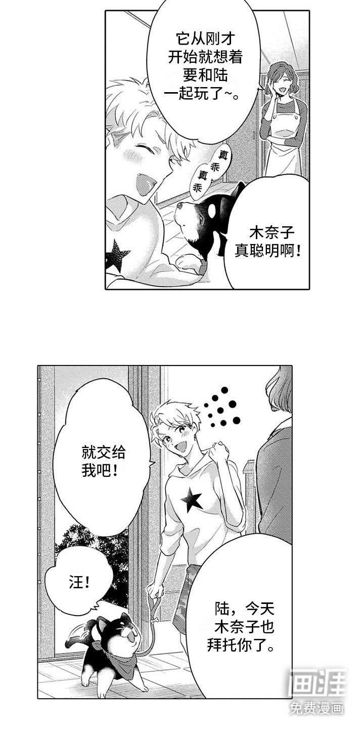 第7章：遛狗