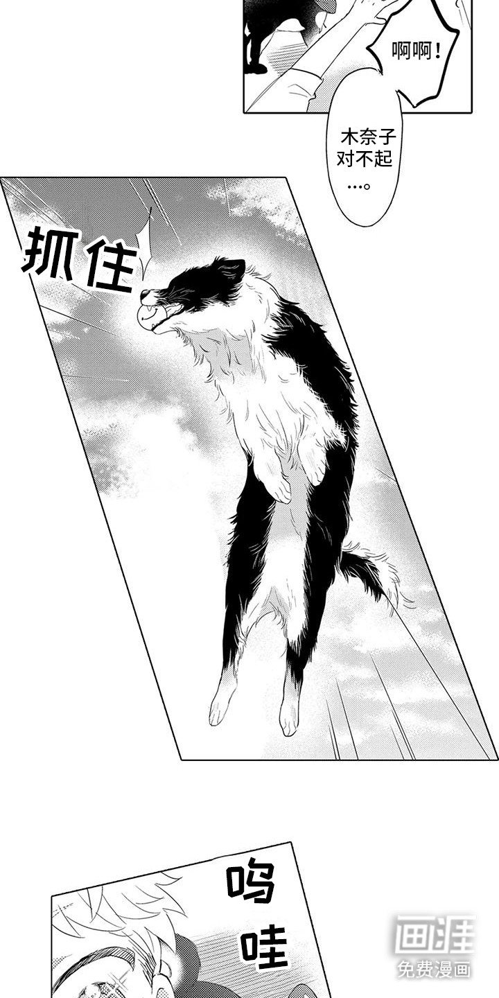 第7章：遛狗