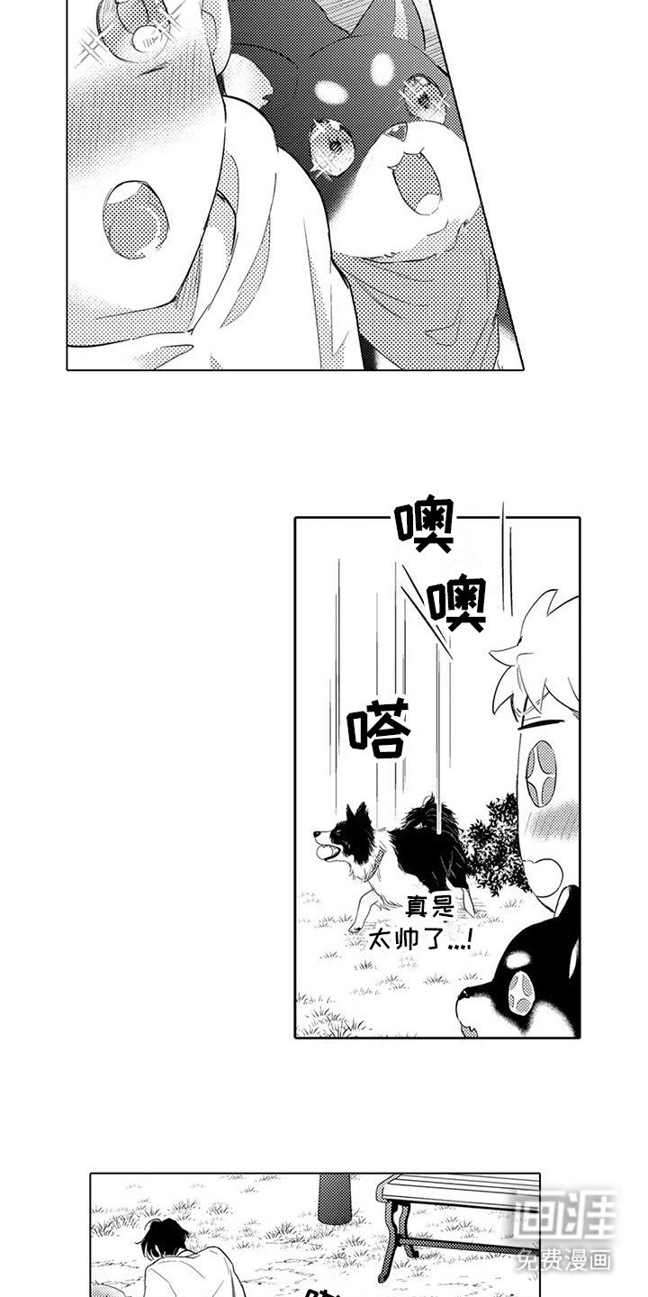 第7章：遛狗