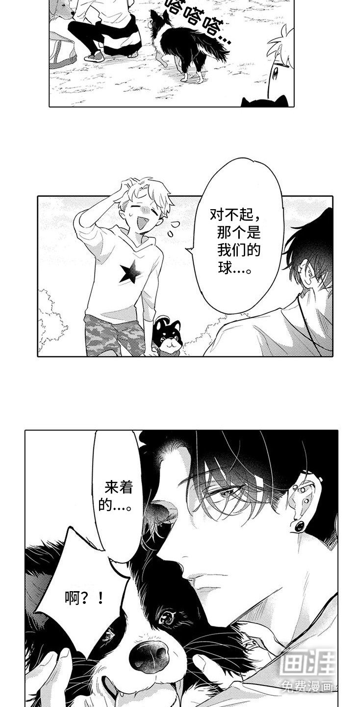 第7章：遛狗