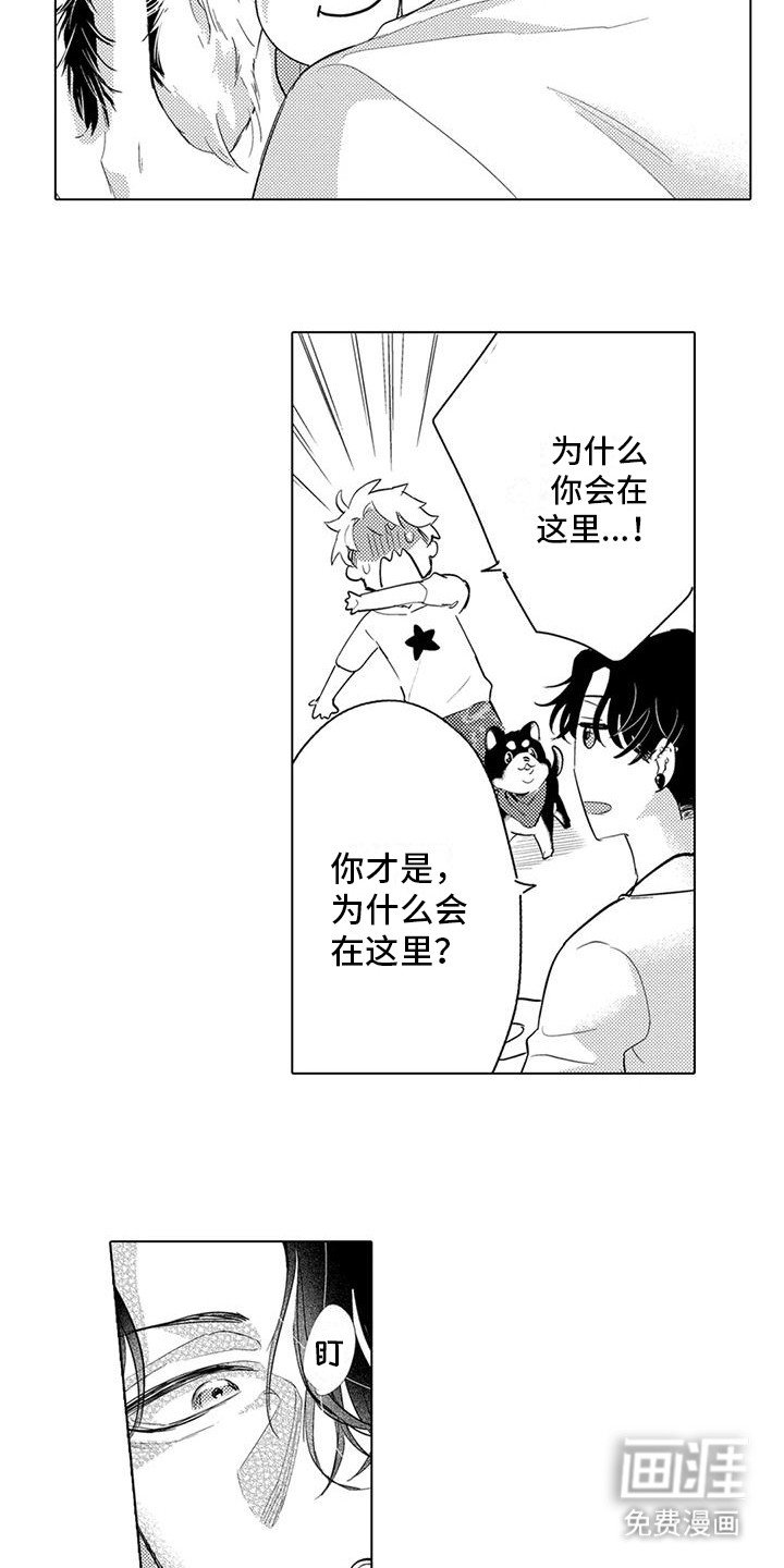 第7章：遛狗