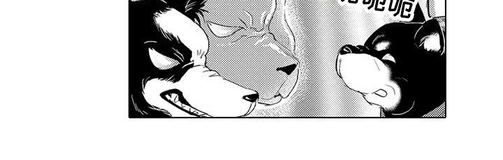 第7章：遛狗