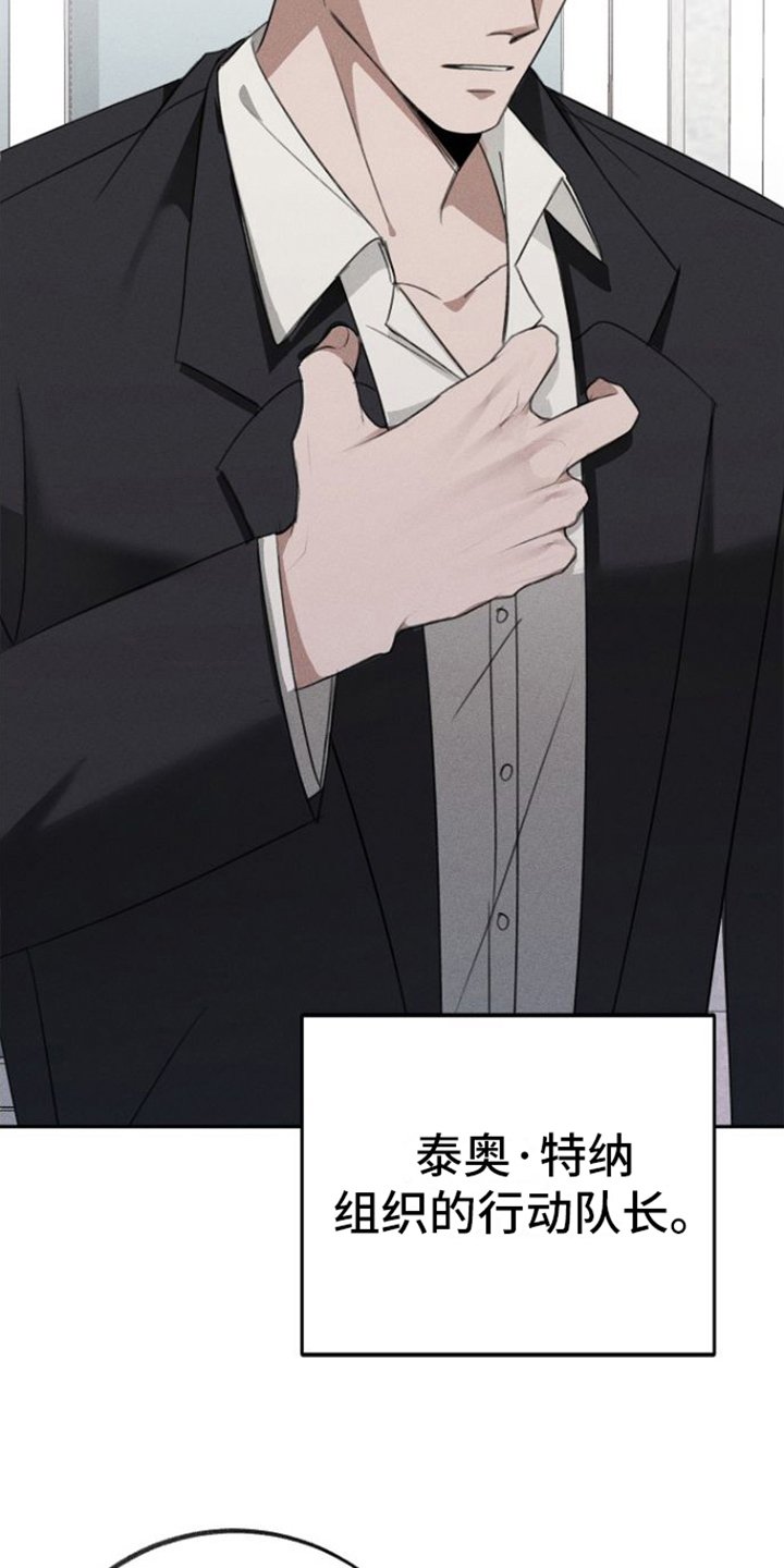 第1章：不会让您失望