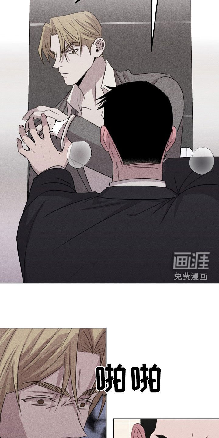 第16章：最合适的样子