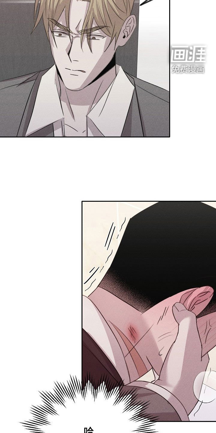 第16章：最合适的样子