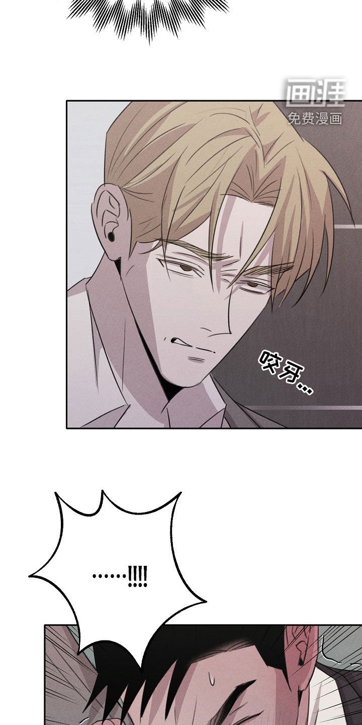 第16章：最合适的样子