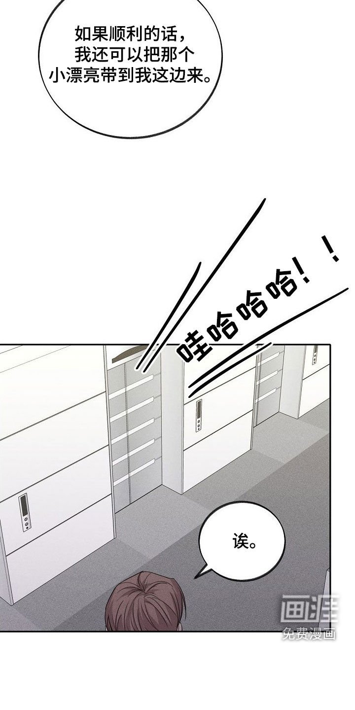 第21章：遐想