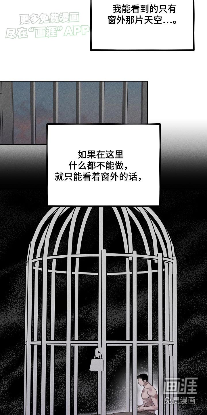 第37章：位置