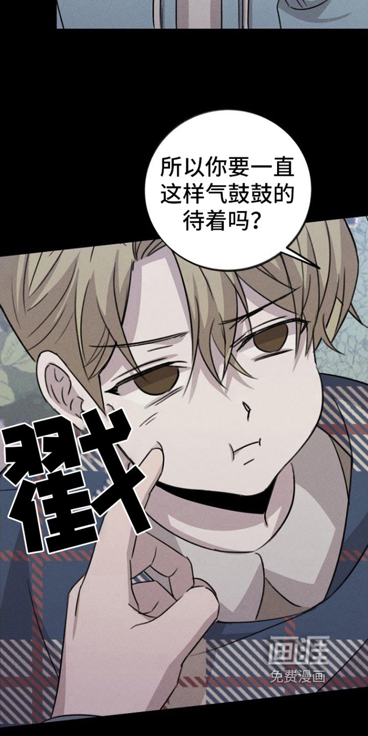 第9章：心灵港湾