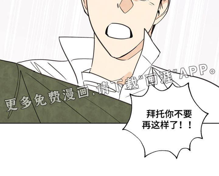 第13章：冲突