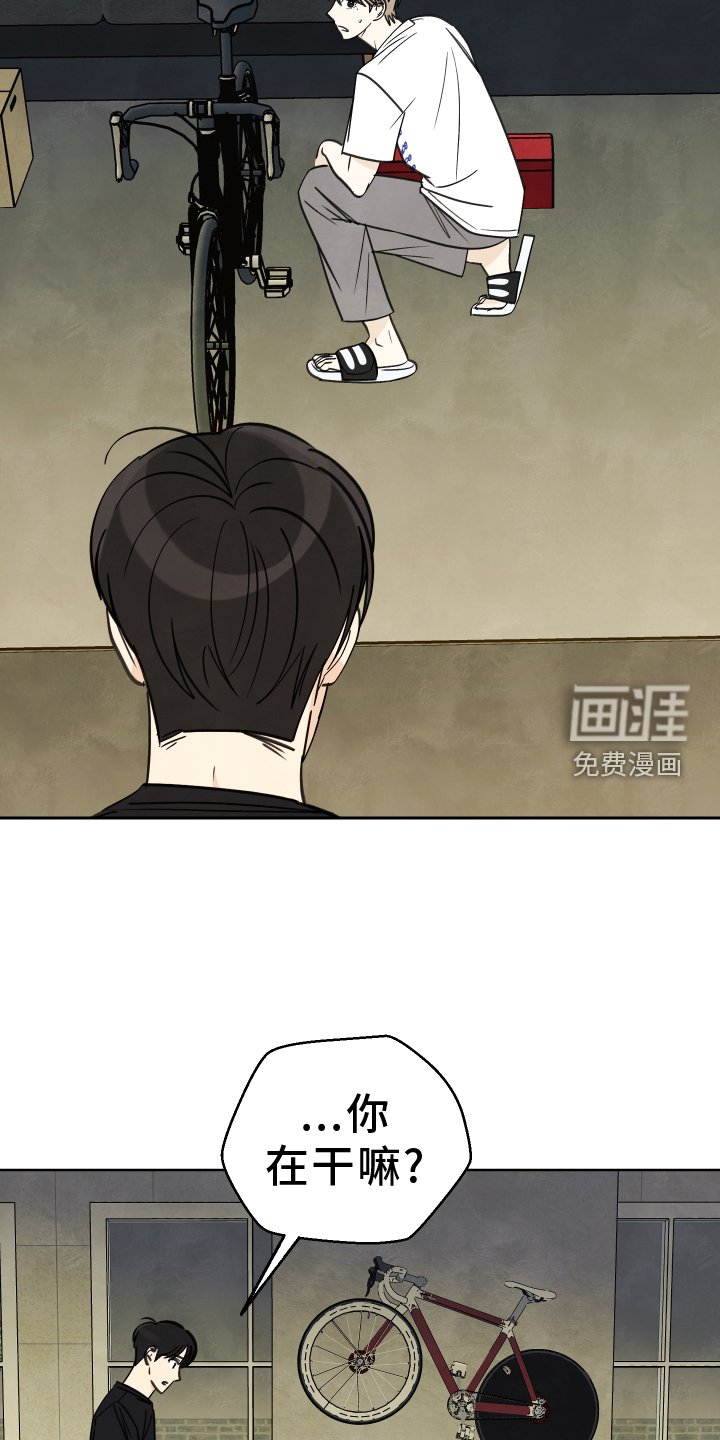 第21章：发现