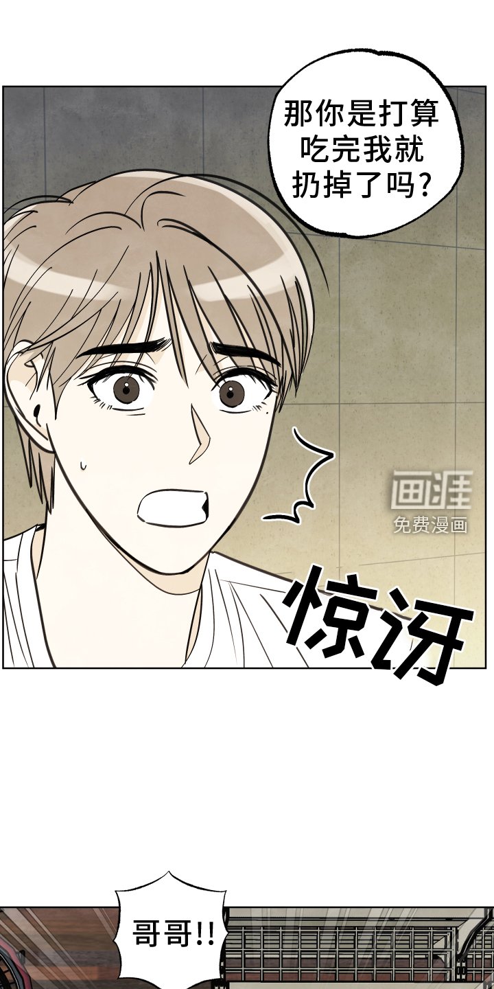 第23章：展示