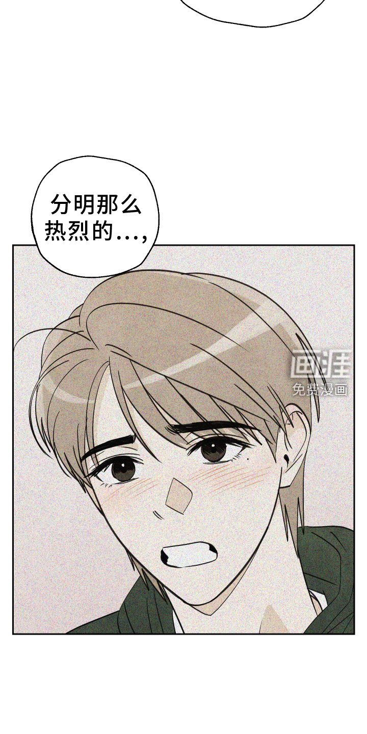第23章：展示