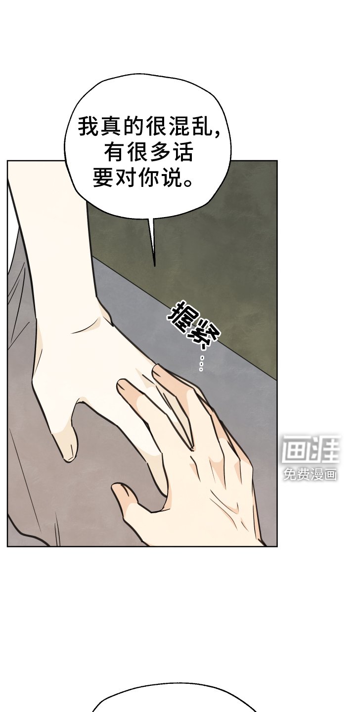 第23章：展示