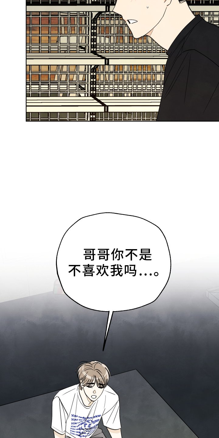 第23章：展示