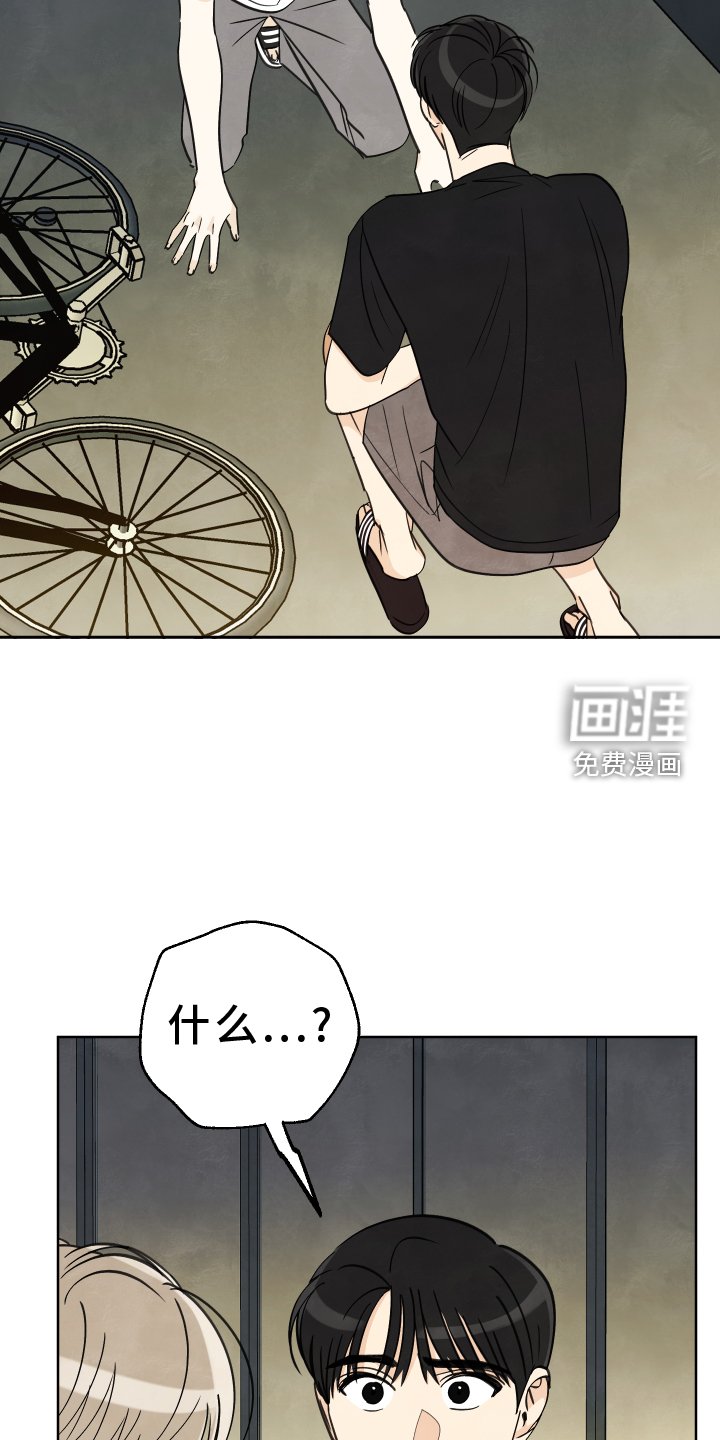 第23章：展示