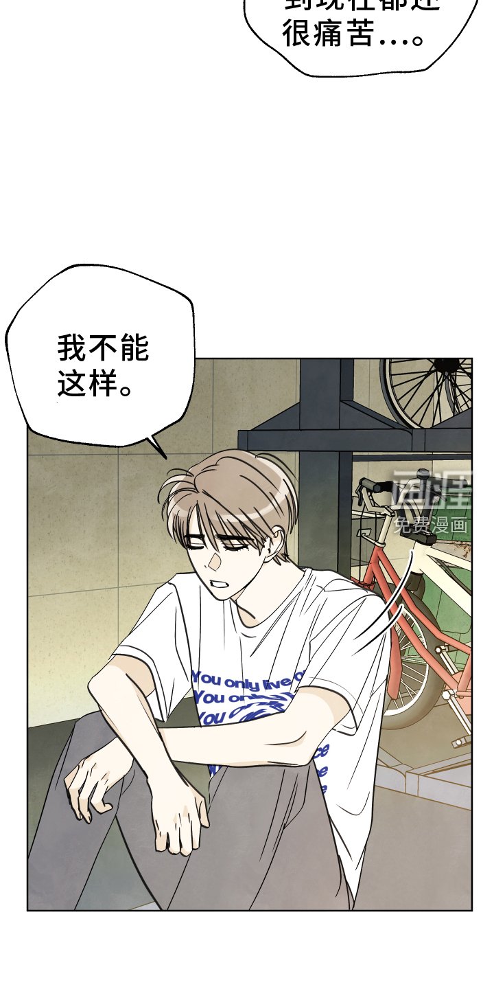 第23章：展示