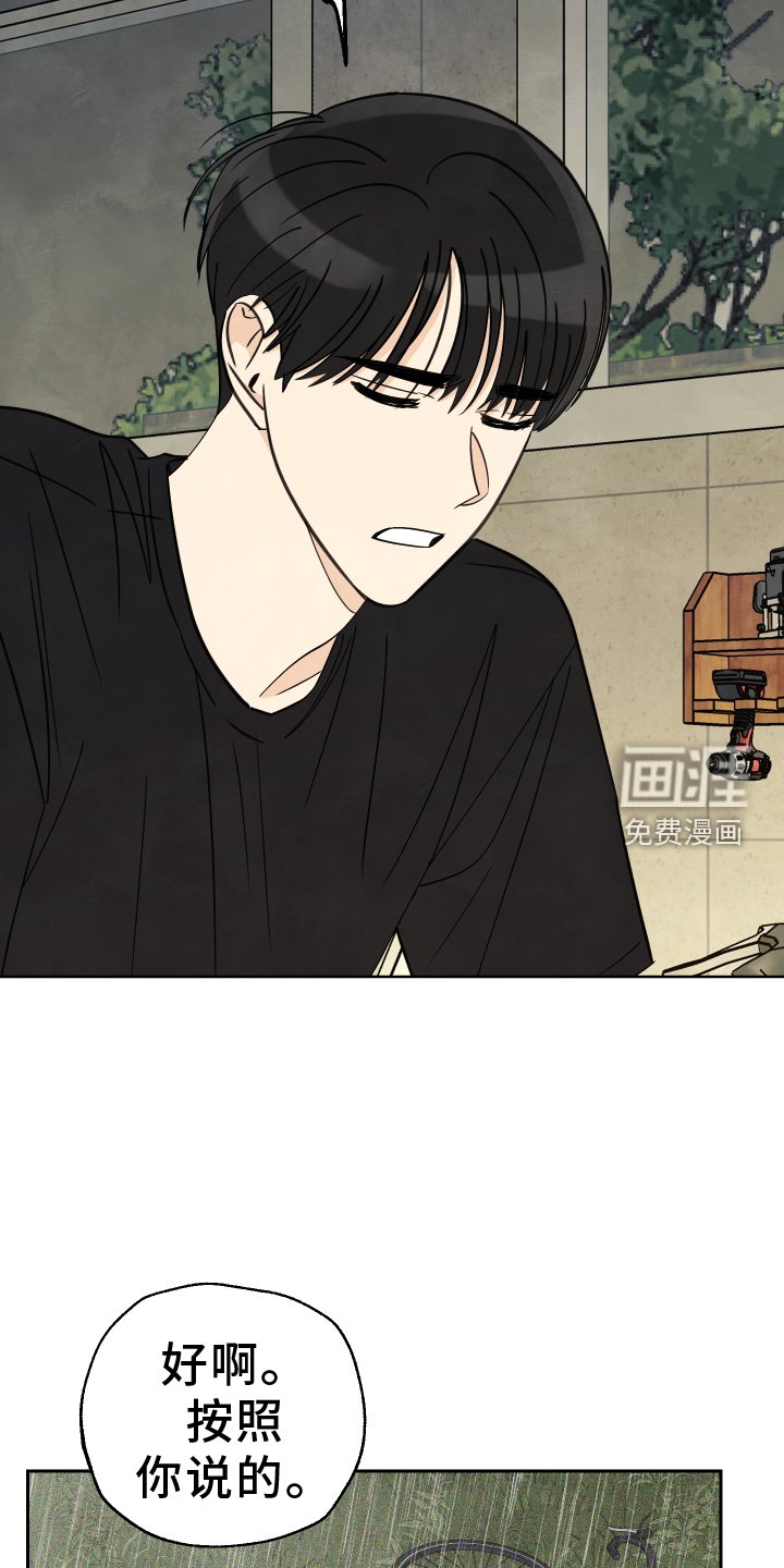 第23章：展示