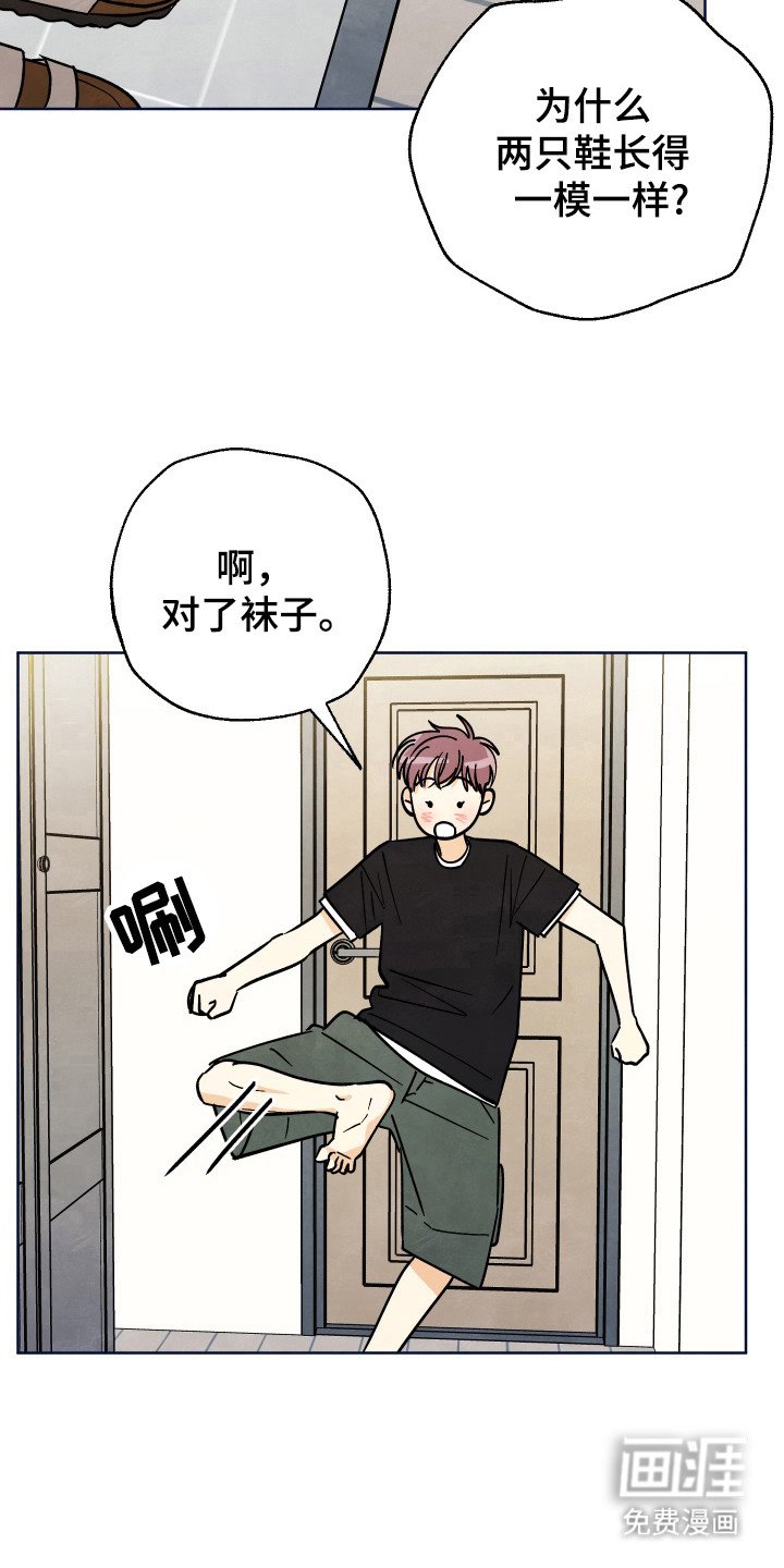 第37章：【第二季】袜子在哪