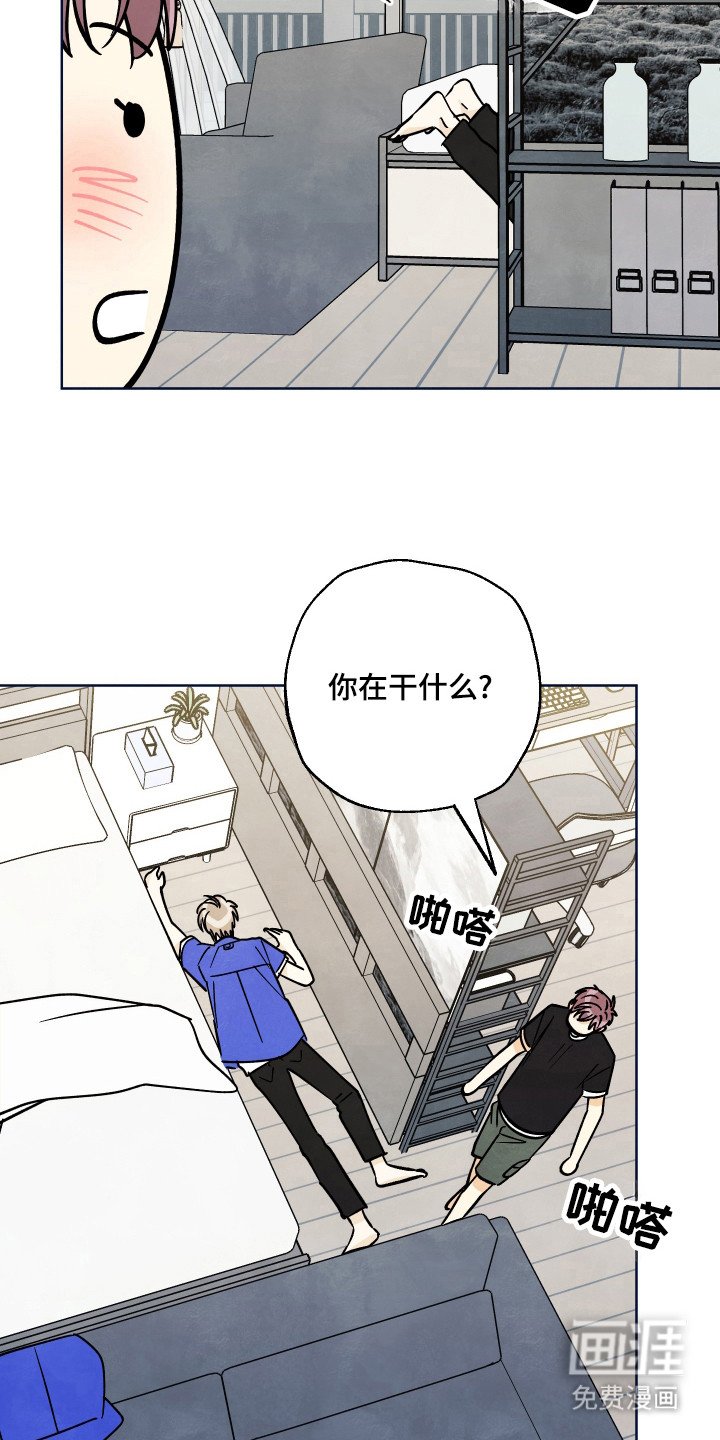 第37章：【第二季】袜子在哪