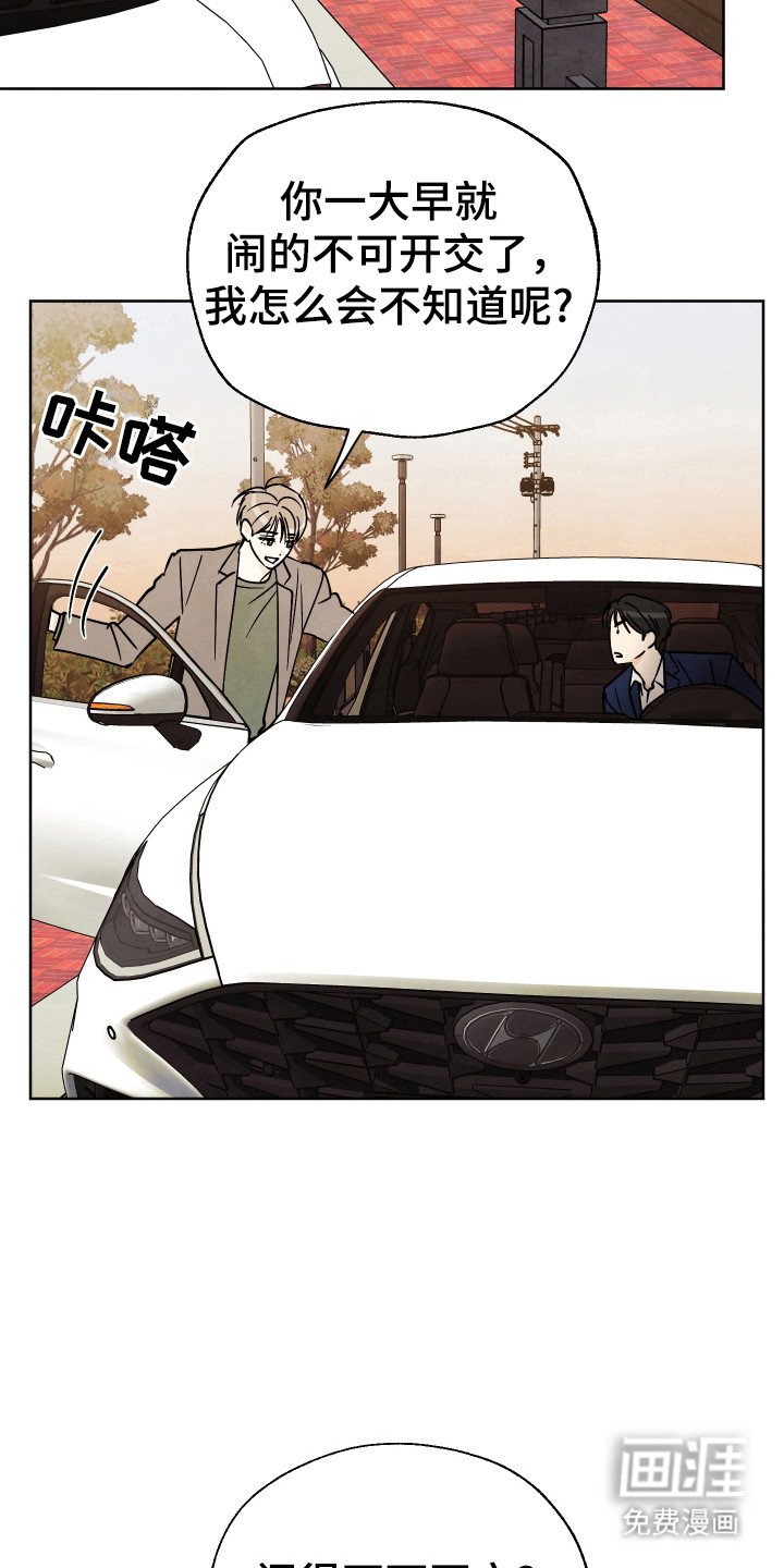 第53章：【番外】提车