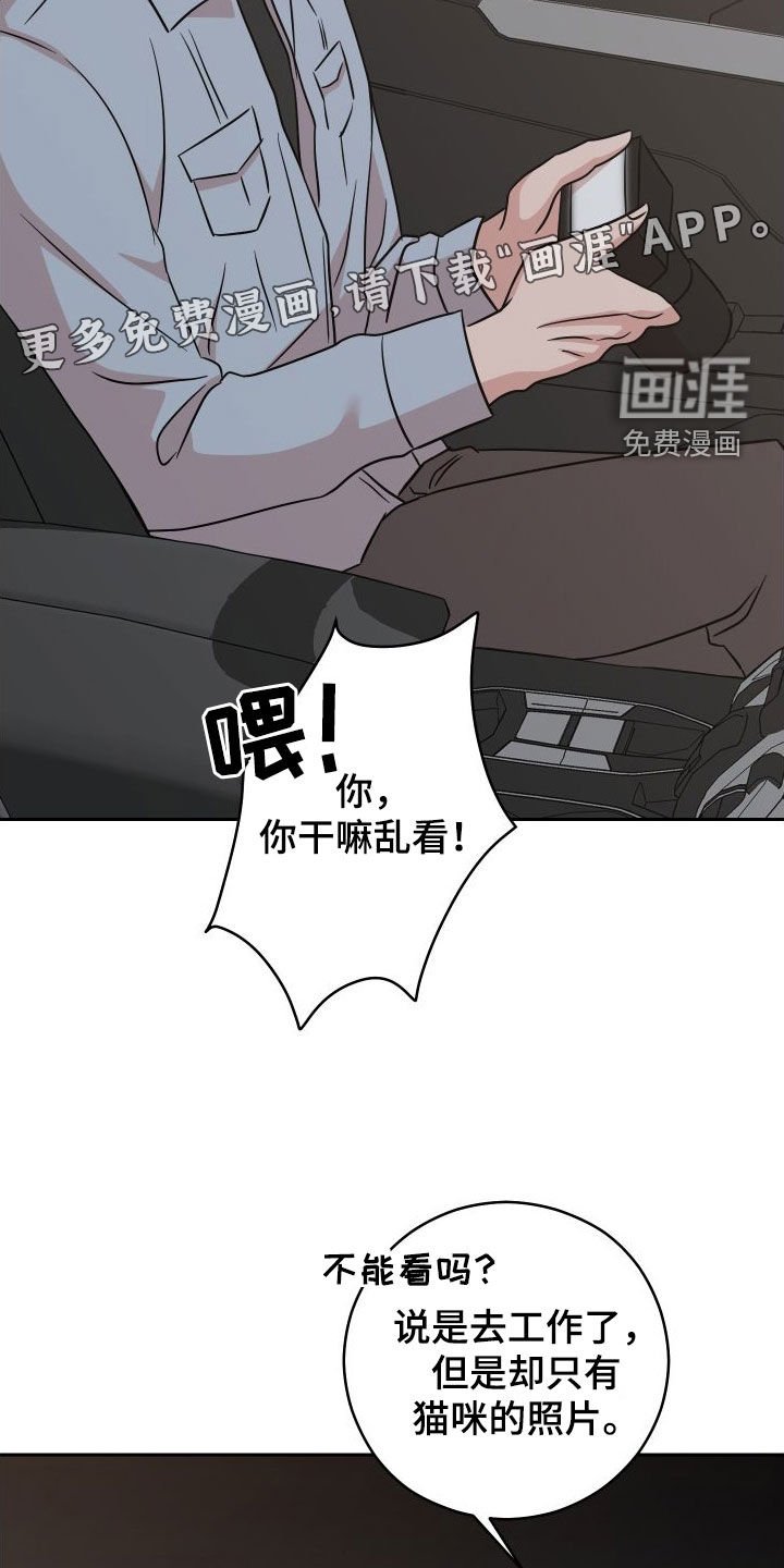 第12章：照片