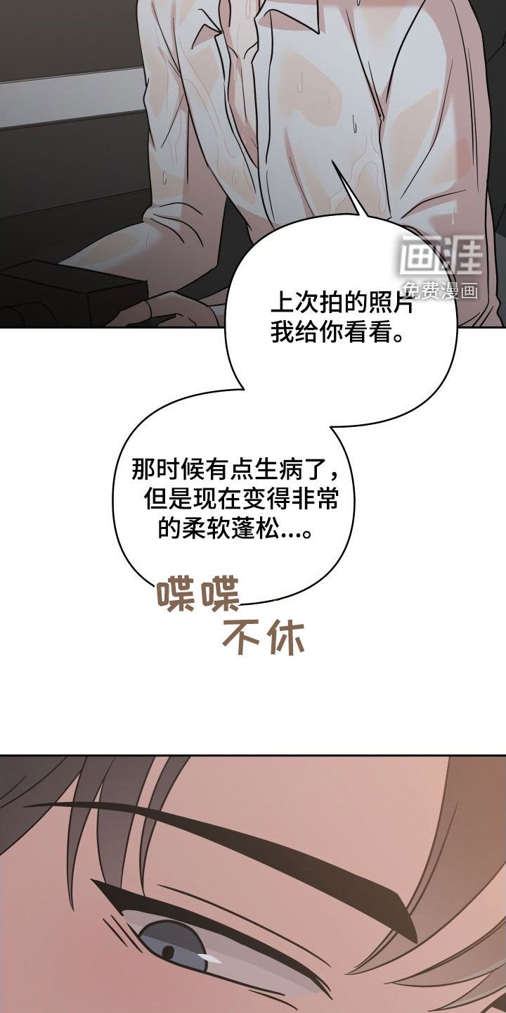 第12章：照片