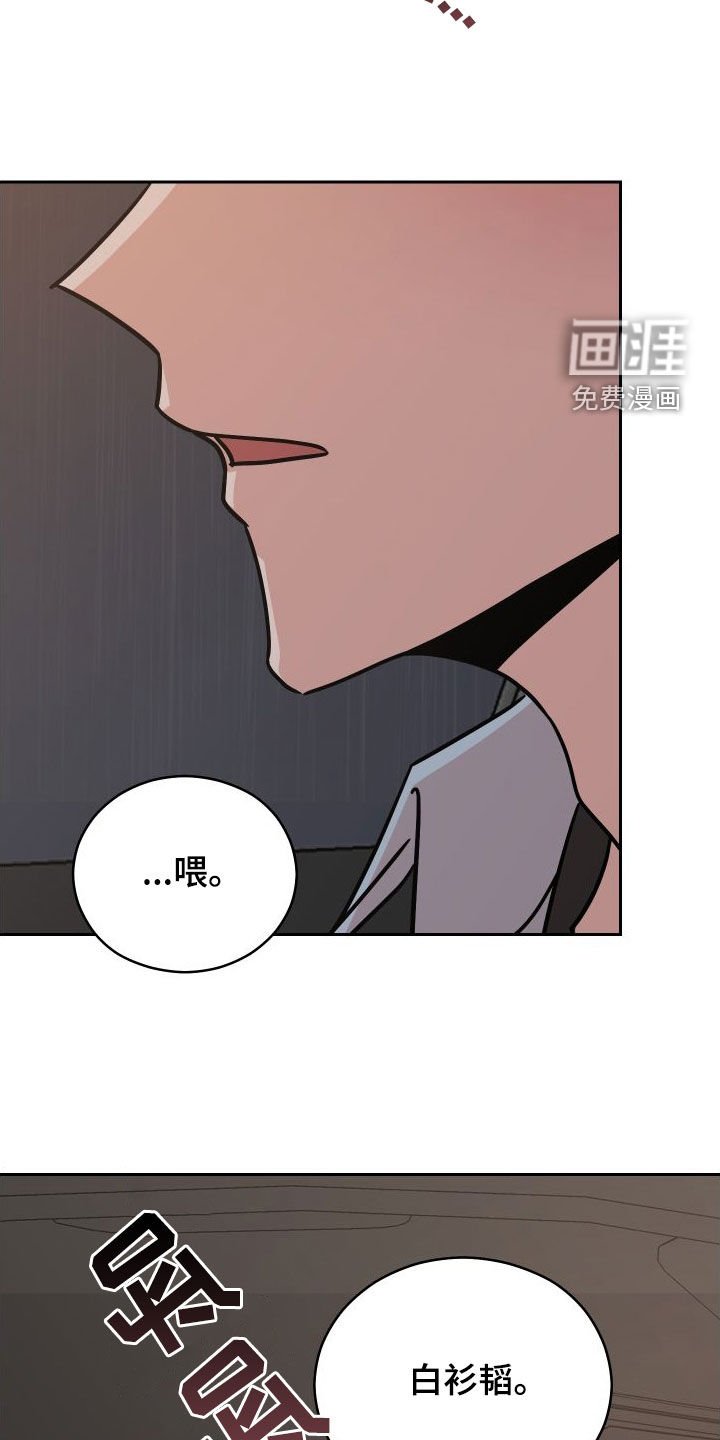 第12章：照片
