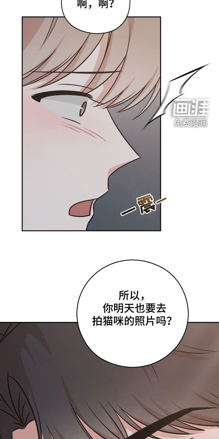 第12章：照片