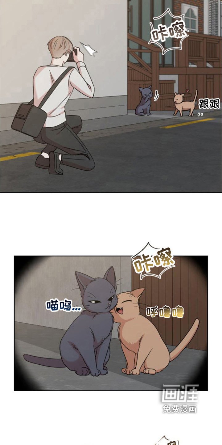 第8章：登门