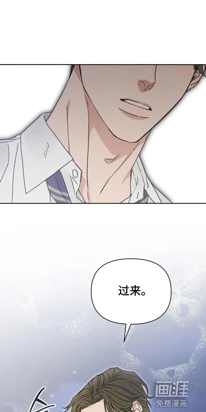 第13章：他的心意